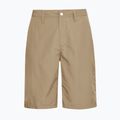 Pantaloncini da trekking da uomo Jack Wolfskin Duneland hazel wood 8