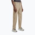 Pantaloni da trekking da uomo Jack Wolfskin Pico Trail hazel wood