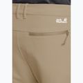 Pantaloni da trekking da uomo Jack Wolfskin Pico Trail hazel wood 5