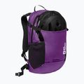 Zaino Jack Wolfskin Velocity 20 l freesia 9
