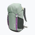 Zaino da trekking per bambini Jack Wolfskin Kids Explorer 20 l green zinnia 4