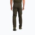 Pantaloni da trekking da uomo Jack Wolfskin Activate Flex obsidian moss 2