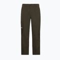 Pantaloni da trekking da uomo Jack Wolfskin Activate Flex obsidian moss 7
