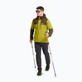 Pantaloni da trekking da uomo Jack Wolfskin Activate Flex phantom 2