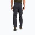 Pantaloni da trekking da uomo Jack Wolfskin Activate Flex phantom 3