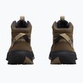 Scarpe da trekking donna Jack Wolfskin Wild Hike Texapore Mid fawn 3