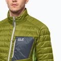 Piumino Jack Wolfskin Routeburn da uomo, cipresso dorato 3