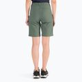 Pantaloncini da trekking Jack Wolfskin Activate Track da donna, verde siepe 4