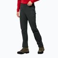 Pantaloni softshell da uomo Jack Wolfskin Peak nero