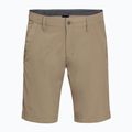 Pantaloncini da trekking Jack Wolfskin Desert Valley sand dune da uomo 4