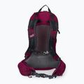 Jack Wolfskin Crosstrail ST 22 l zaino da trekking beaujolais 3