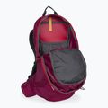 Jack Wolfskin Crosstrail ST 22 l zaino da trekking beaujolais 5