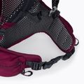 Jack Wolfskin Crosstrail ST 22 l zaino da trekking beaujolais 6