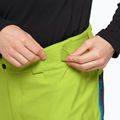 Pantaloni da sci Jack Wolfskin Alpspitze 3L da uomo, lime 3