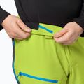 Pantaloni da sci Jack Wolfskin Alpspitze 3L da uomo, lime 4