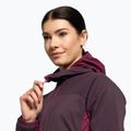 Jack Wolfskin giacca da donna Alpspitze Ins Hoody grapevine 6