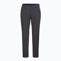 Pantaloni softshell da uomo Jack Wolfskin Activate XT phantom 6
