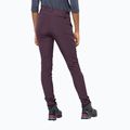 Pantaloni softshell Jack Wolfskin da donna Geigelstein Slim java 2