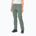 Pantaloni softshell da donna Jack Wolfskin Glastal Zip Off picnic verde