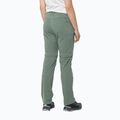 Pantaloni softshell da donna Jack Wolfskin Glastal Zip Off picnic verde 2