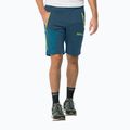 Pantaloni softshell da uomo Jack Wolfskin Glastal Zip Away mare scuro 3