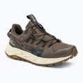 Jack Wolfskin scarpe da trekking da uomo Terraquest Low cocco marrone