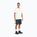 Scarpe da trekking da uomo Jack Wolfskin Woodland 2 Texapore Mid nere 15