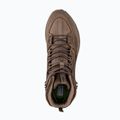 Scarpe da trekking da uomo Jack Wolfskin Terraquest Texapore Mid bear 12