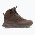 Scarpe da trekking da uomo Jack Wolfskin Terraquest Texapore Mid bear 2