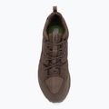 Scarpe da trekking da uomo Jack Wolfskin Terraquest Texapore Low gecko bear 5