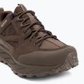 Scarpe da trekking da uomo Jack Wolfskin Terraquest Texapore Low gecko bear 7