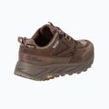 Scarpe da trekking da uomo Jack Wolfskin Terraquest Texapore Low gecko bear 2