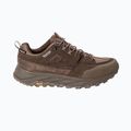 Scarpe da trekking da uomo Jack Wolfskin Terraquest Texapore Low gecko bear 3