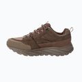 Scarpe da trekking da uomo Jack Wolfskin Terraquest Texapore Low gecko bear 4