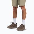 Scarpe da trekking da uomo Jack Wolfskin Terraquest Texapore Low gecko bear 7