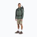 Scarpe da trekking da uomo Jack Wolfskin Terraquest Texapore Low gecko bear 8