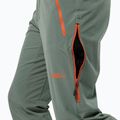 Pantaloni Jack Wolfskin Alpspitze Tour skit da uomo verde siepe 4