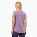 Maglietta da trekking Jack Wolfskin da donna Vonnan S/S Graphic velluto 2