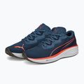 Scarpe da corsa da uomo PUMA Aviator Profoam Sky Better evening sky/firelight 11