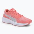 PUMA Aviator Profoam Sky scarpe da corsa rosa garofano/puma bianco