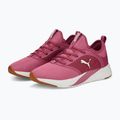 Scarpe da corsa da donna PUMA Softride Ruby dusty orchid/marshmallow 11