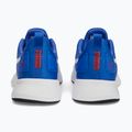 Scarpe da corsa da uomo PUMA Flyer Runner Mesh royal sapphire/puma red 13