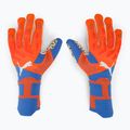 Guanti da portiere PUMA Future Ultimate NC ultra arancione/blu glimmer