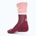 CEP Calze da corsa a compressione da donna 4.0 Mid Cut rosa/rosso scuro 2