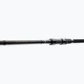 Canna da pesca Daiwa Ninja X Carp 4