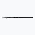 Daiwa Black Widow Tele Canna da carpa nera