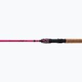 Canna da spinning Daiwa Ninja X Kids rosa 2
