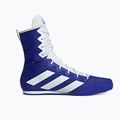 Scarpe da boxe adidas Box Hog 4 blu navy HP9612 10