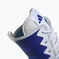 Scarpe da boxe adidas Box Hog 4 blu navy HP9612 15