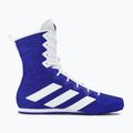 Scarpe da boxe adidas Box Hog 4 blu navy HP9612 2